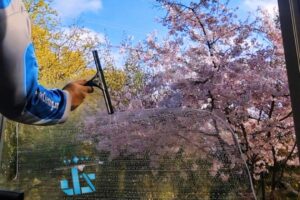 Window cleaning